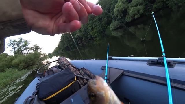 РЫБАЧУ И НОЧУЮ В ЛОДКЕ НА ДИКОЙ РЕКЕ! Клюёт разная рыба. Рыбалка на донки. смотреть онлайн