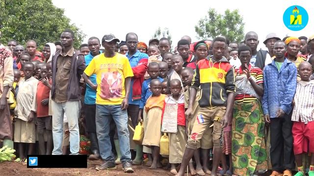 Igitegwa #makadamiya kigiye kurimwa mu Burundi bwose. Mbega gifise akamaro akahe ? смотреть онлайн