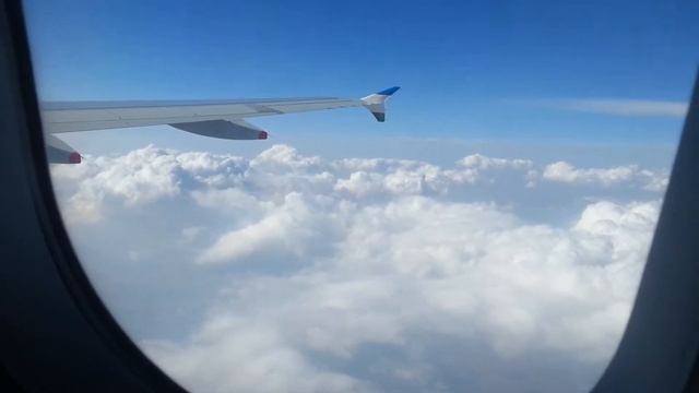 Ташкент-Ургенч Airbus320 смотреть онлайн
