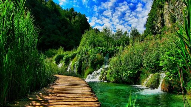 Красота Русской природы футаж (Живые фото) смотреть онлайн