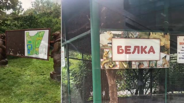 Как я выбирала веранду в первый день после снятия карантина смотреть онлайн