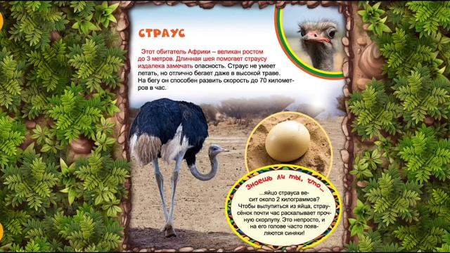 Самая первая энциклопедия. УДИВИТЕЛЬНЫЕ ЖИВОТНЫЕ. The Very First Encyclopedia. AMAZING ANIMALS.