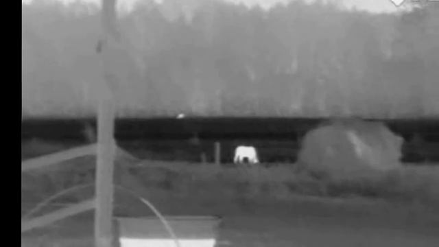 FLIR Scout TS32r Pro Nightvision Camera Samples