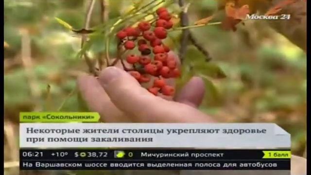 33 О рябине. Этнотравник Фадеев на канале Москва-24 фрагмент передачи