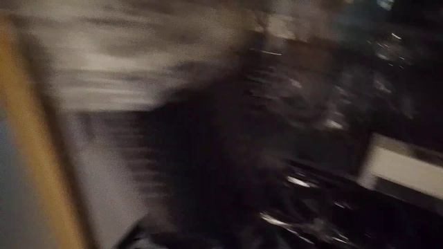 Петунии взошли🥳посеяла перцы🌶