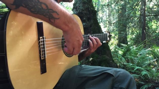 Ben Woods in the Woods - Flamenco Guitar смотреть онлайн