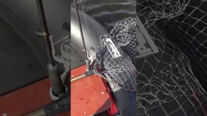 Рыбалка с лодки в ветреную погоду . Стул ведро для рыбалки .