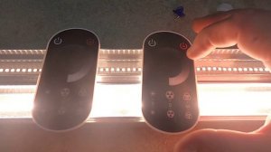 Как подключить световую линию к диммеру, чтобы пульты не синхронизировались