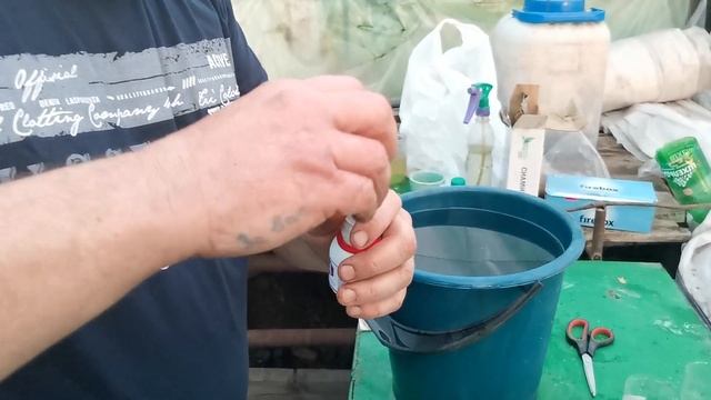 [ОБЯЗАТЕЛЬНАЯ ОБРАБОТКА ОТ ВРЕДИТЕЛЕЙ] перед ПИКИРОВКОЙ (ПЕРЕВАЛКОЙ) смотреть онлайн