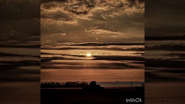 Жить как дети. смотреть онлайн