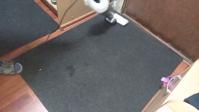 Супер всасыватель мусора! Обзор вертикального пылесоса Kitfort KT-510 смотреть онлайн