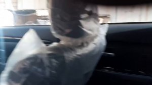 Китайский Mitsubishi Outlander | ОТЗЫВ