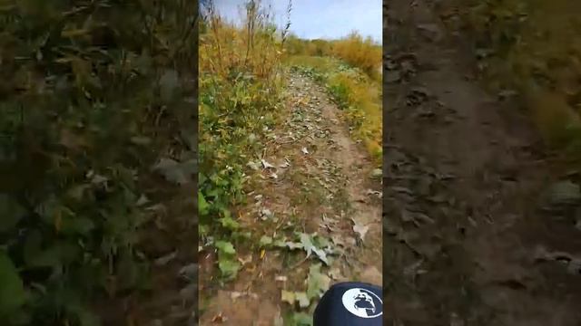 Едем на охоту) смотреть онлайн