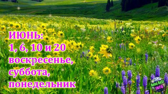 Ваши Самые Счастливые Числа и Дни по Месяцу Рождения!!! смотреть онлайн