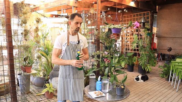 Do this to Revitalize Your Dying Orchids смотреть онлайн