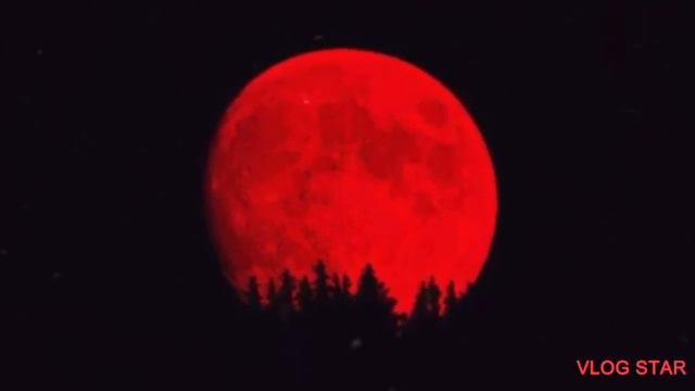 [FREE] HARD Reggae Type Beat - “BLOOD” | DARK | Free Type Beat 2021 смотреть онлайн