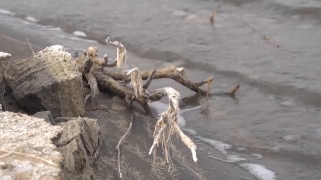 Судак на донку .Узбекистан / Планета рыбака . ( Pike perch. Uzbekistan / Fisherman's Planet ). смотреть онлайн