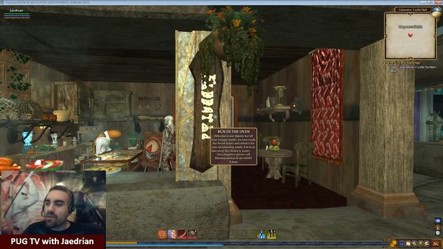 Running through the Llamedos Guild Hall on the Freeport server. смотреть онлайн