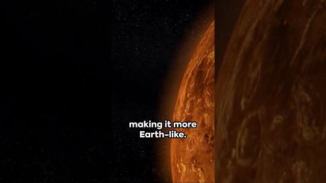 Beneath the Veil of Venus: Surprising Discoveries смотреть онлайн