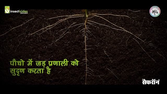 Jab Chaperone toh growth on- Insecticides India Limited смотреть онлайн