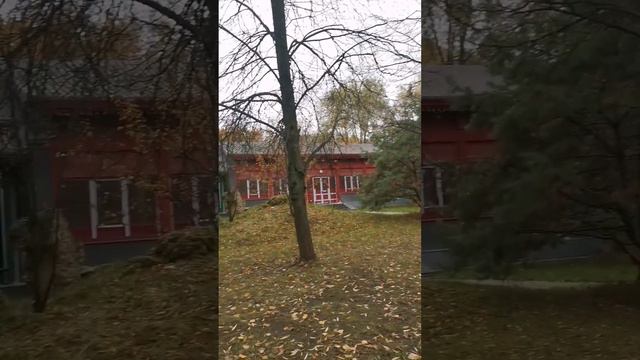 分享#Парк Хуамин#китайский#вМоскве смотреть онлайн