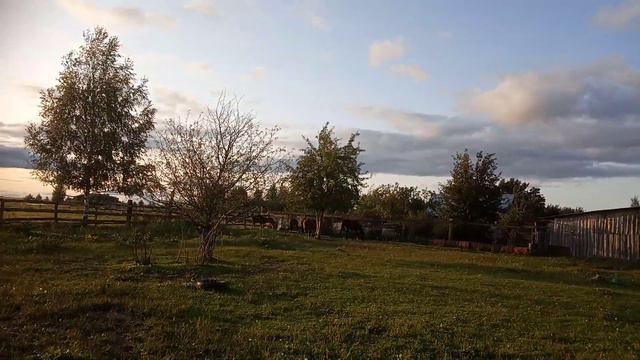 Воляяяяя смотреть онлайн