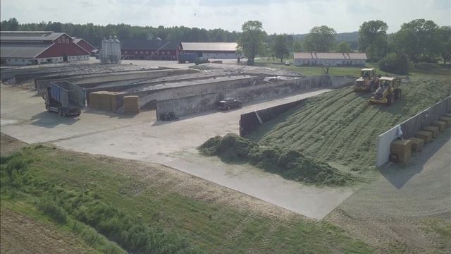 BG Flytthem1 смотреть онлайн