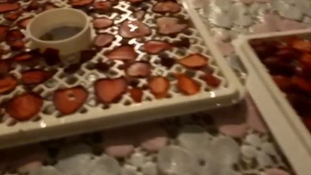 СУШИМ КЛУБНИКУ смотреть онлайн