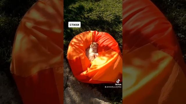 если выбрал свой путь - иди. смотреть онлайн