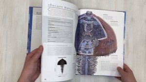 Halo: Боевой флот. Иллюстрированная энциклопедия военных кораблей Halo