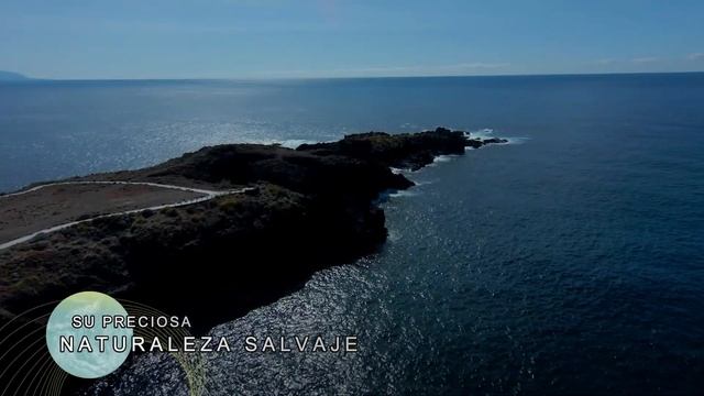 Norte de Tenerife смотреть онлайн