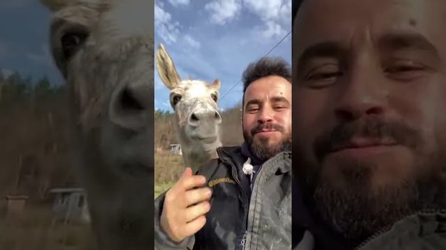 давай делись братан смотреть онлайн