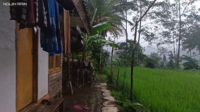 Super heavy rain in my village strong winds and thunderstorms, Fall asleep to the sound of rain смотреть онлайн