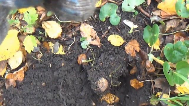 Коп в большой жилой деревне. смотреть онлайн