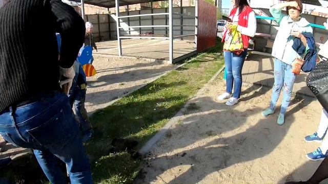 Вечерняя прогулка. Посадка дерева перед выпускным. смотреть онлайн