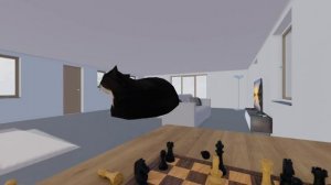 Кот Максвелл играет в шахматы