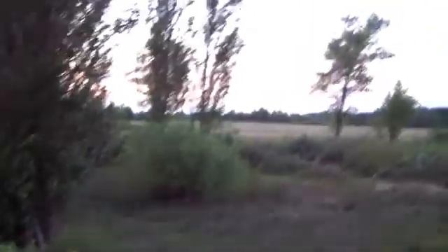 ⛺ Заповедник "Залесье". Одиночный поход с ночевкой в лесу смотреть онлайн