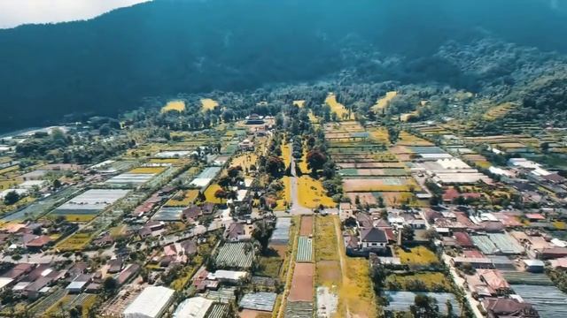 LCVP VIDEO CANDIDACY AIESEC IN UNTAN 1718 - BELLA PRATIWI смотреть онлайн