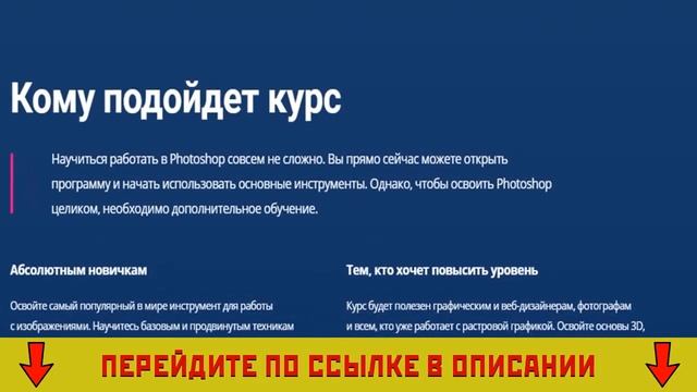 Skillbox Диплом