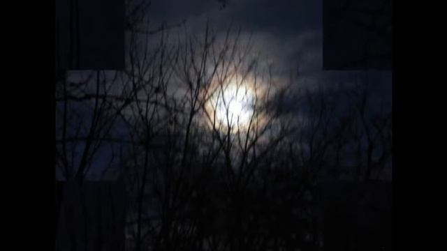 Восход луны / Moonrise  / BAmbooWay