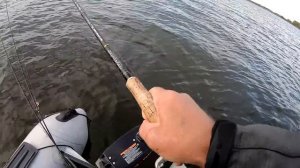 Когда плохой КЛЁВ ЩУКИ ставьте ЭТОТ ВОБЛЕР. Щука на воблер.  Твичинг крупных воблеров. BEARKING