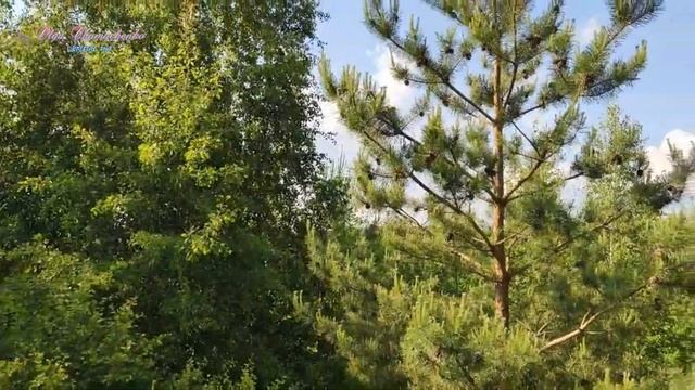 Горы , горы , буераки у Любы ("Я и мои козы") смотреть онлайн