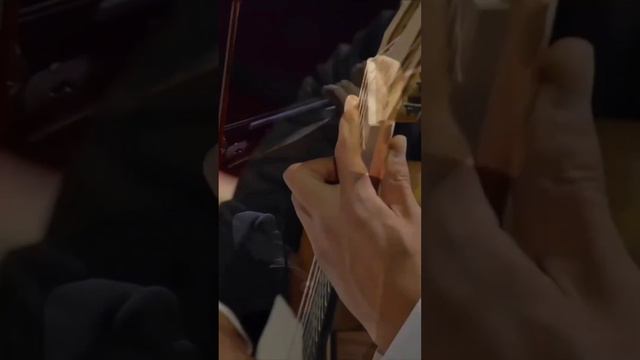 Дэвид Гарретт _Камиль Сен Санс. Карнавал животных:Лебедь #davidgarrettmusik