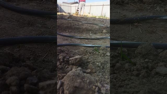 Мастерская мечты 133 день ЧАСТЬ 1 #short смотреть онлайн