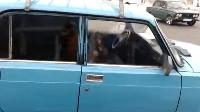 Собака барабанщик смотреть онлайн