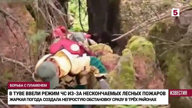 Пятый канал # Известия, Санкт-Петербург, 5 августа 2024
Ситуация с лесными пожарами смотреть онлайн