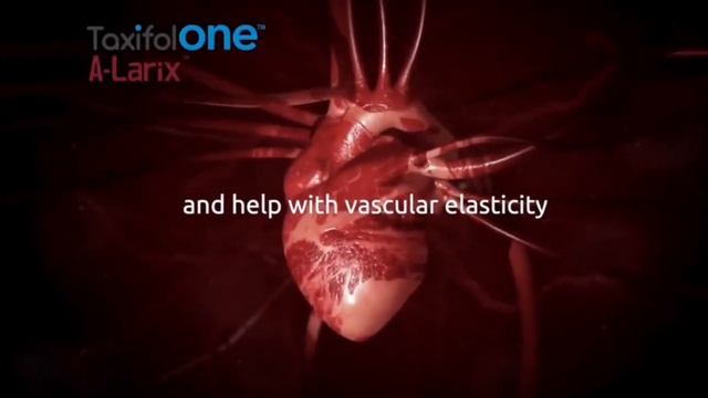 наш завод который находится в Восточной Сибири смотреть онлайн