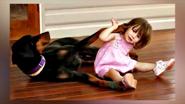 Семья забрала из приюта ДОБЕРМАНА. Спустя 5 дней раздался КРИК❗ смотреть онлайн