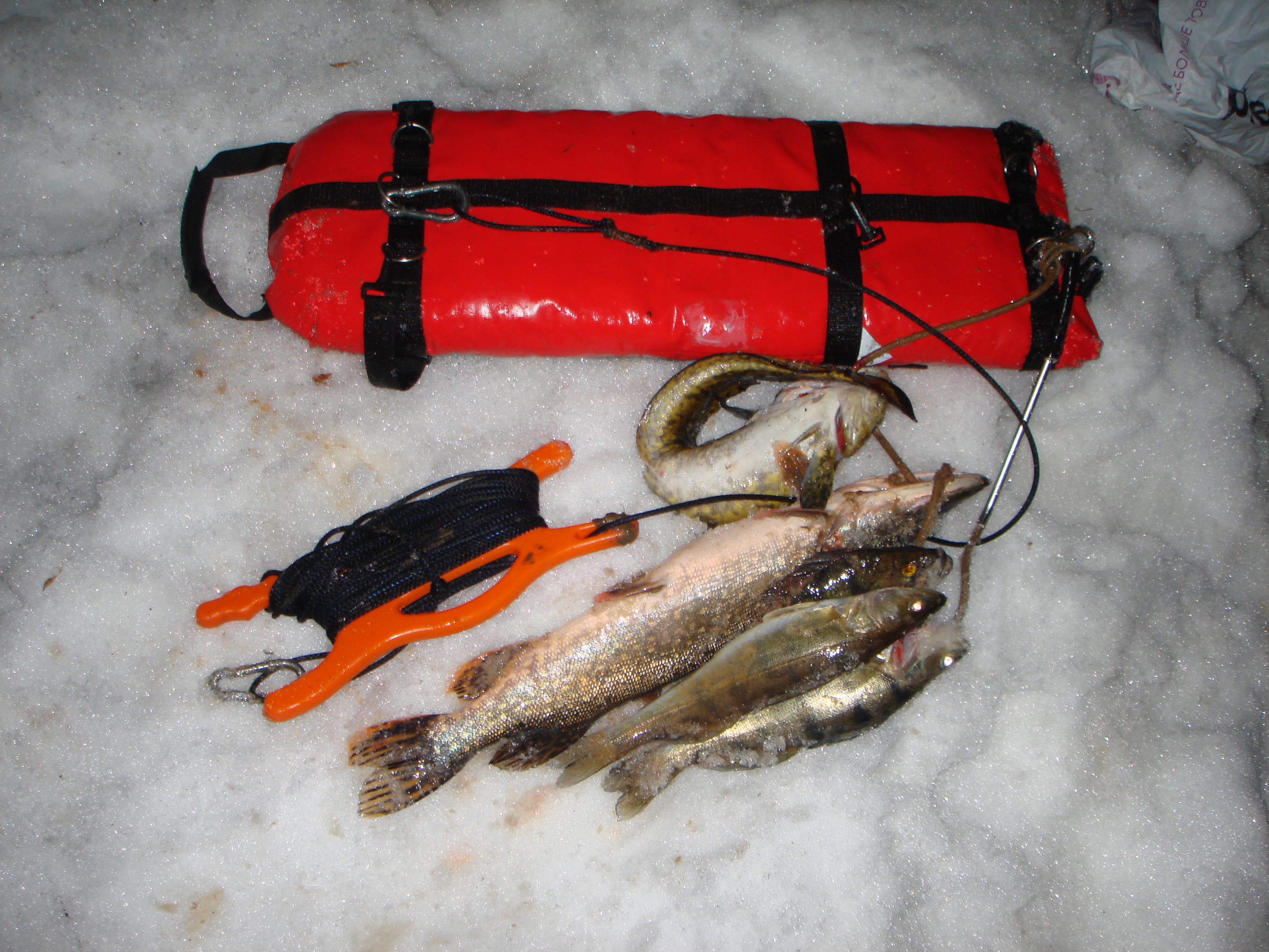 Подводная охота  с Григорием много рыбы 16.03.2024
Снято на камеру GoPro HERO +