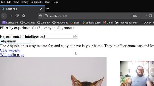 React capstone project смотреть онлайн